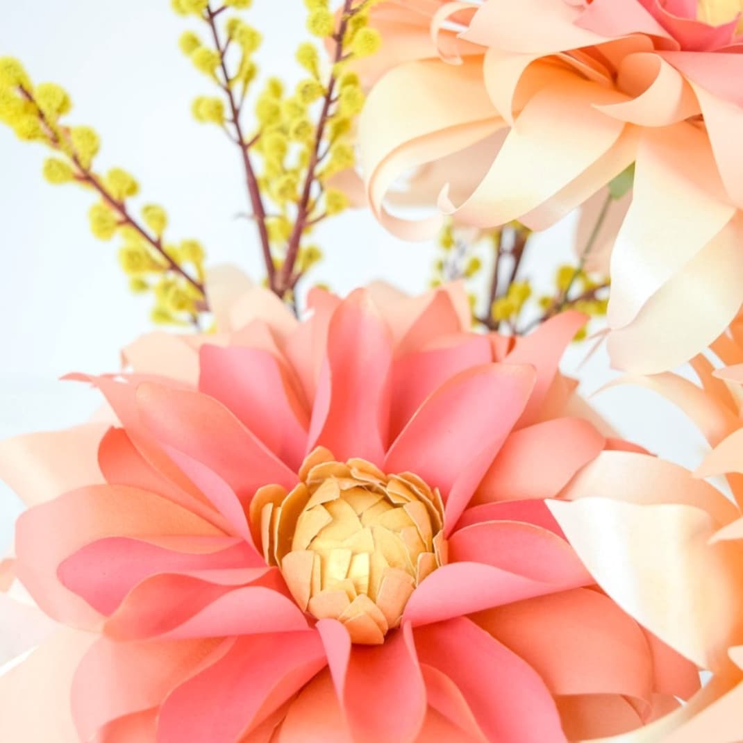 Autumn sunburst dahlia